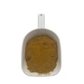 robin gold2.jpg